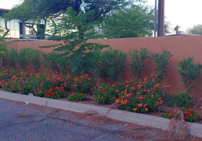 Groves Assisted Living 62