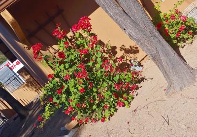 Groves Assisted Living 8